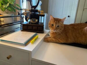 Orange cat sitting on a desk next to a vintage phone. 