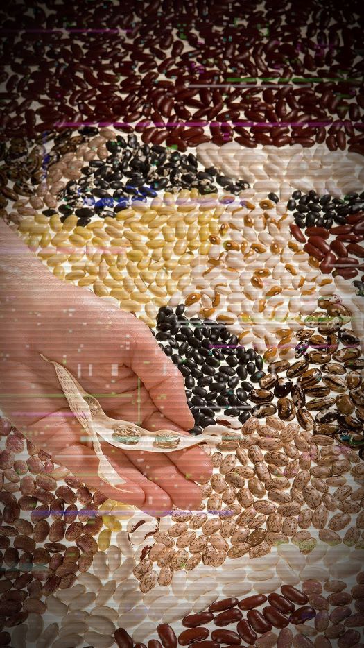 A photo of different colors of dried beans. A filter has been applied to make it look like there's a glitch on the image.  Original Photo by Peggy Greb, USDA/ARS. 